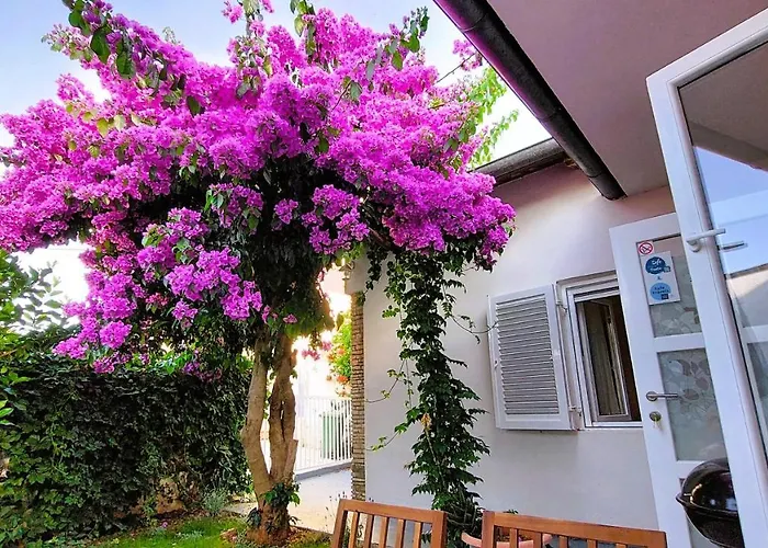 Holiday Home Zora - Family Vacation House Near Protected Area Of The Nature Park Kamenjak, With Green Yard, Wifi, Air-Con