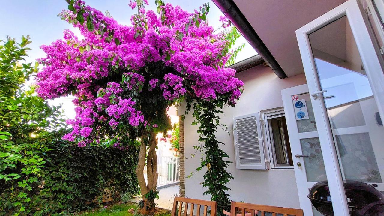 Zora: Family Retreat Near Kamenjak Nature Park *