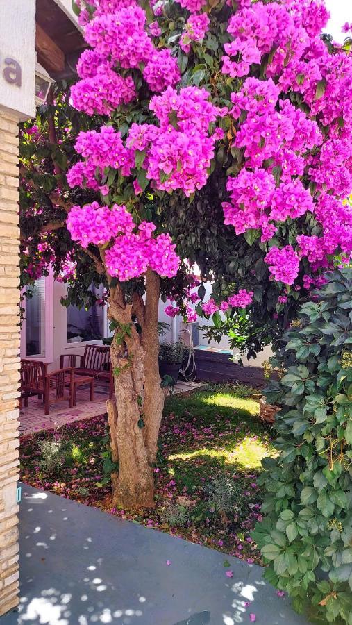 Zora: Family Retreat Near Kamenjak Nature Park *